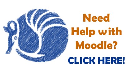 Moodle Support